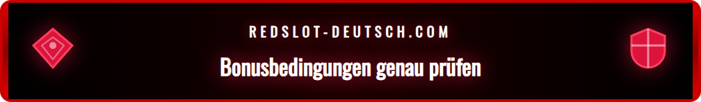Ein Spieler, der die Bonusbedingungen auf einem Laptop sorgfältig liest.