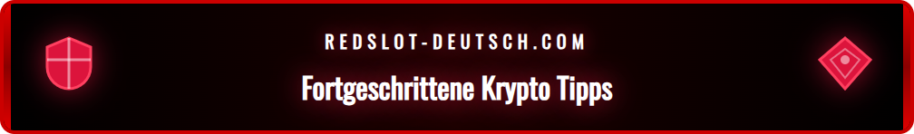 Eine Infografik mit Tipps und Tricks für Krypto-Zahlungen.